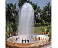 dandelion fountain